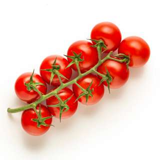 Vegeponics Netherlands Cherry Tomato On Vine