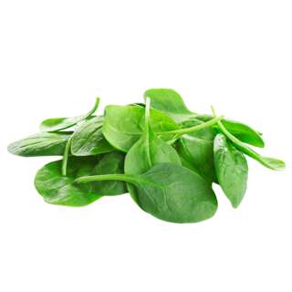 Vegeponics Pesticide-Free Baby Spinach (SG Local)