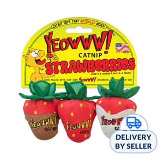 Yeowww! Strawberries Catnip Toy, Set
