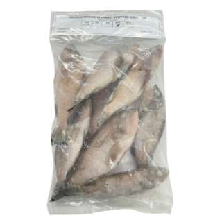 Blue Oceans Grouper Fish (Whole Clean 8-10)