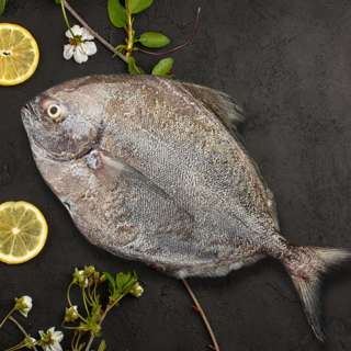 Serve by Hai Sia Black Pomfret (Scaled & Gutted) - Frozen