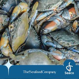 Seaco Live Indonesia Mub Crab - Small