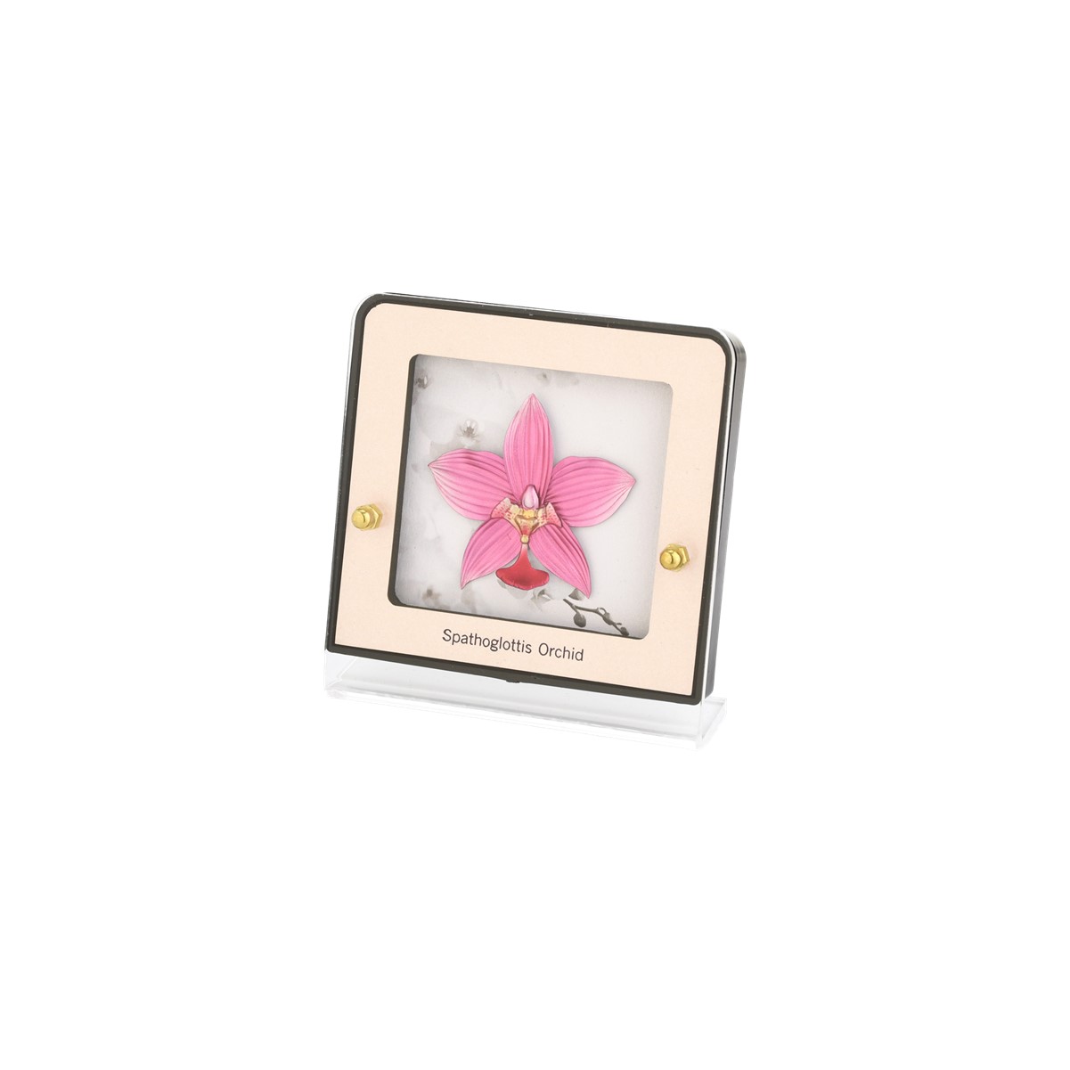 Vanda Miss Joaquim Orchid 24K Gold Foil Medium Frame | NTUC FairPrice