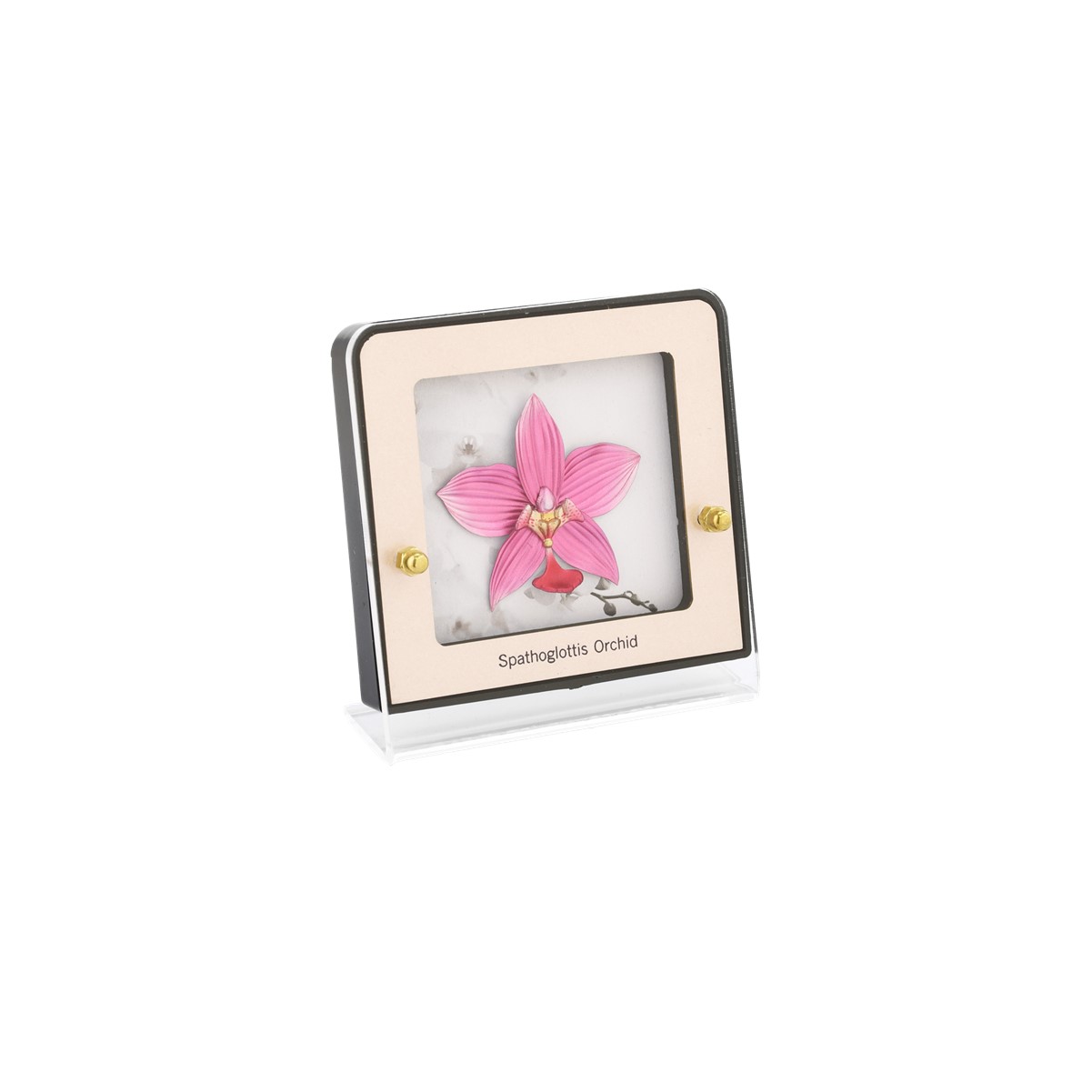 Singapore Mint Vanda Miss Joaquim 24K 金箔 Vanda Miss Joaquim Orchid 24K Gold Foil Medium Frame | NTUC FairPrice