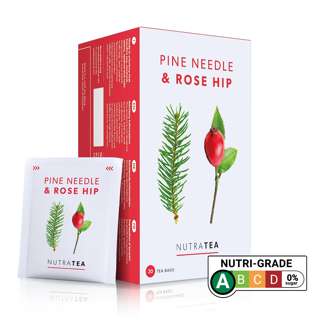 NutraTea Pine Needle & Rosehip, 20 Tea Bag