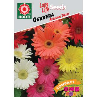 Gerbera African Daisy Seeds