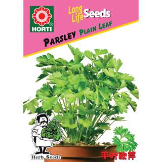 Parsley Plain Leaf Seeds