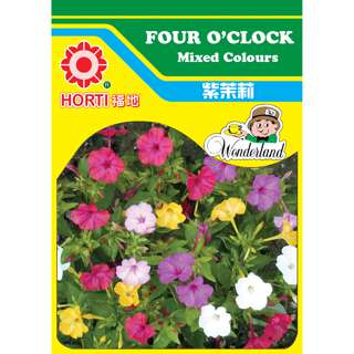Four O' Clock Mixed Colours Seeds