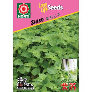 Shiso Seeds Shiso Seeds