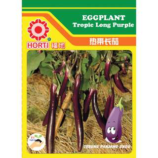 Egg Plant Tropic Long Purple Seeds