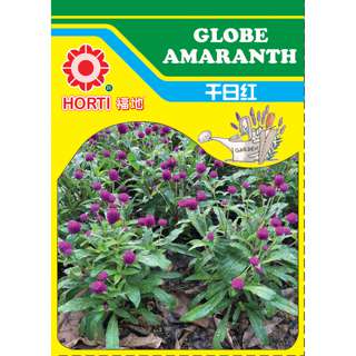 Globe Amaranth Seeds