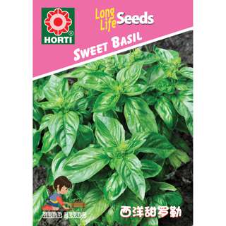 Sweet Basil Seeds Sweet Basil Seeds