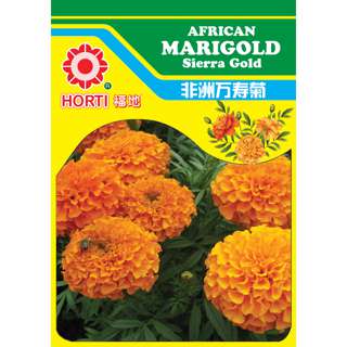 Marigold Sierra Gold Seeds Marigold Sierra Gold Seeds