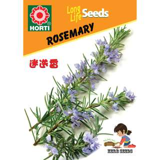 Rosemary Seeds