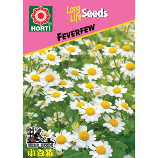 Feverfew Seeds