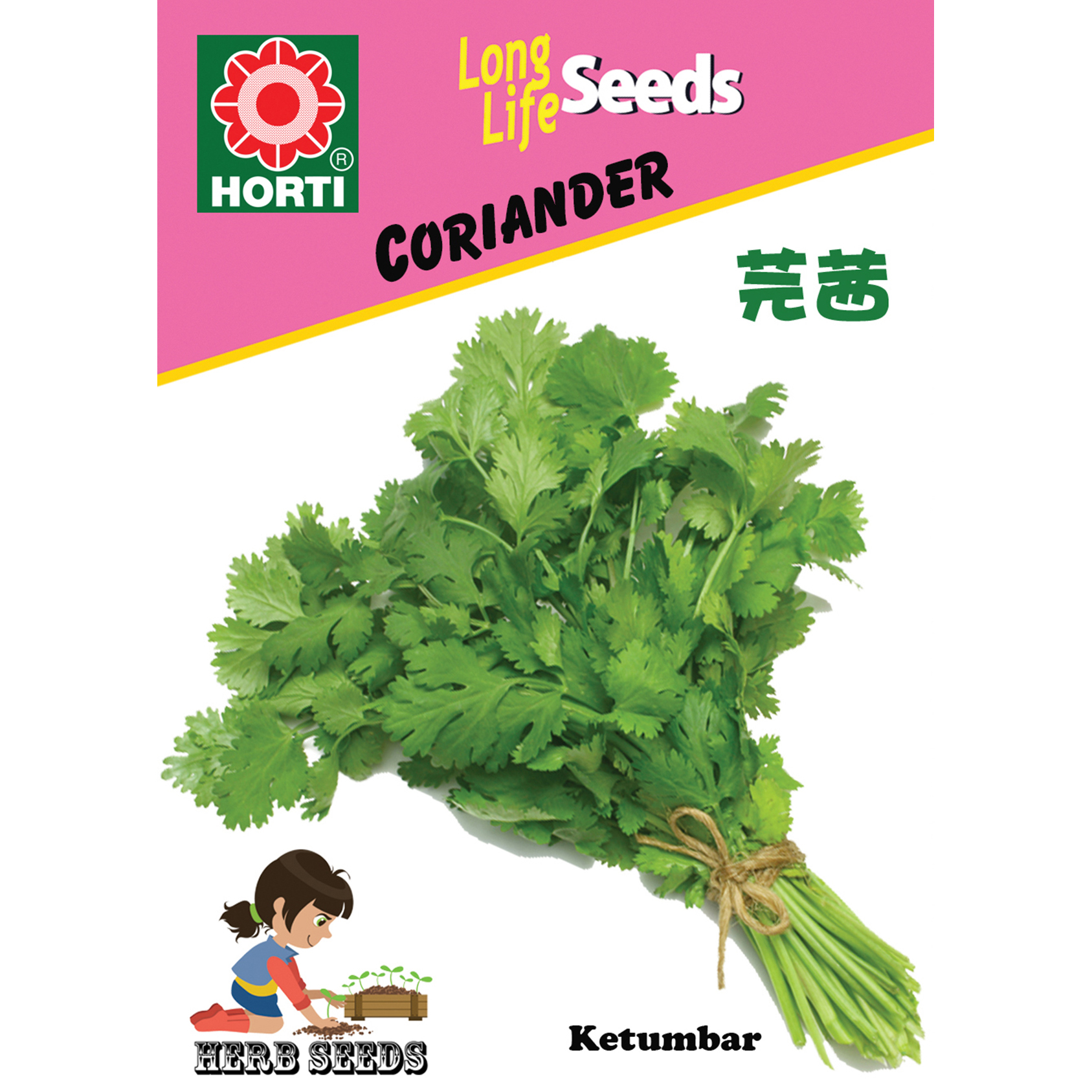 Coriander Seeds