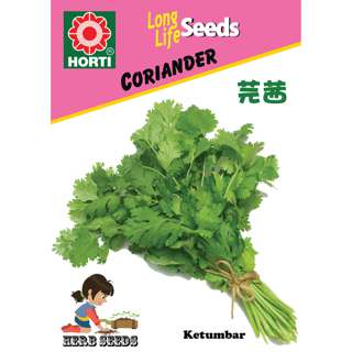 Coriander Seeds