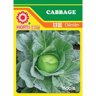 Cabbage Tropic Cross F1 Seeds