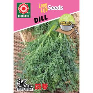 Dill Seeds