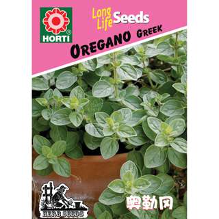 Oregano Seeds