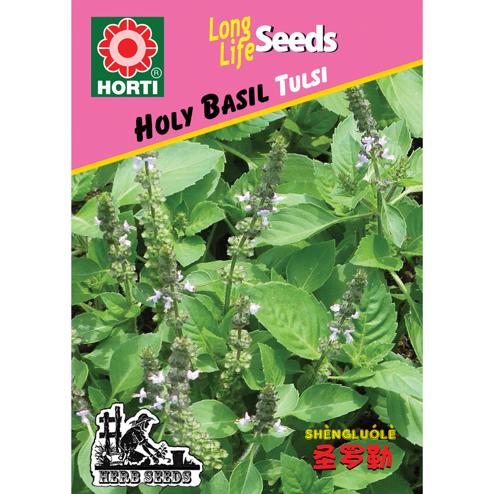 Holy Basil Tulsi Seeds