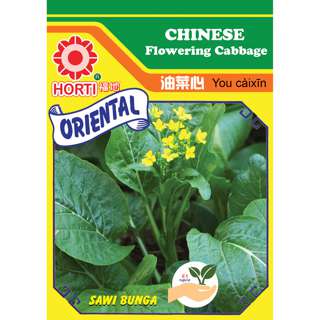 Chinese Flowering Cabbage Seeds