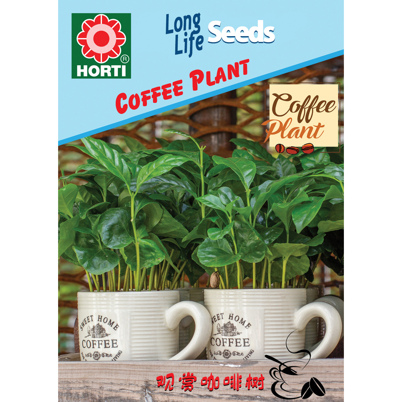 Coffee Plant Seeds | NTUC FairPrice