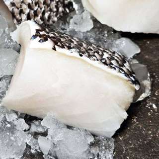 Port65 Chilean Bass Cod Cubes (Baby-friendly) - Frozen