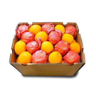 YayaPapaya South Africa Orange Carton