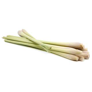 ZENXIN Organic Lemongrass