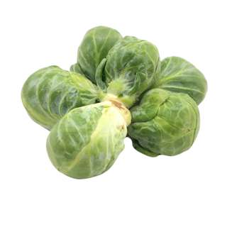ZENXIN Organic Brussel Sprout