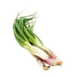 Good Nature Organic Spring Onion