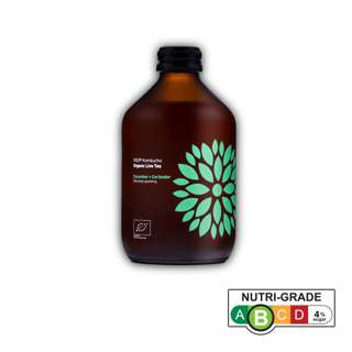 Vigo Kombucha Organic Live Tea - Cucumber + Coriander