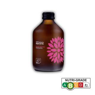 Vigo Kombucha Organic Live Tea - Mango + Maracuja