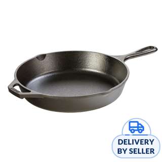 LODGE 10.25 Inch Seasoned Cast Iron Skillet