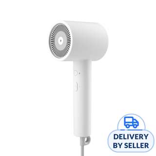 Xiaomi Mi Ionic Hair Dryer H300