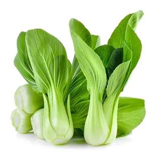 Orgo Fresh Premium  Xiao Bai Cai
