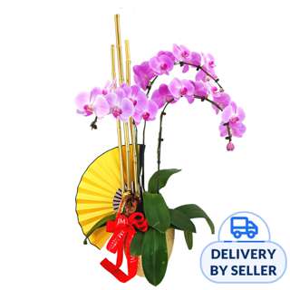JM Flower Triple Fortune (3 Stalks)- Orchid Phalaenopsis