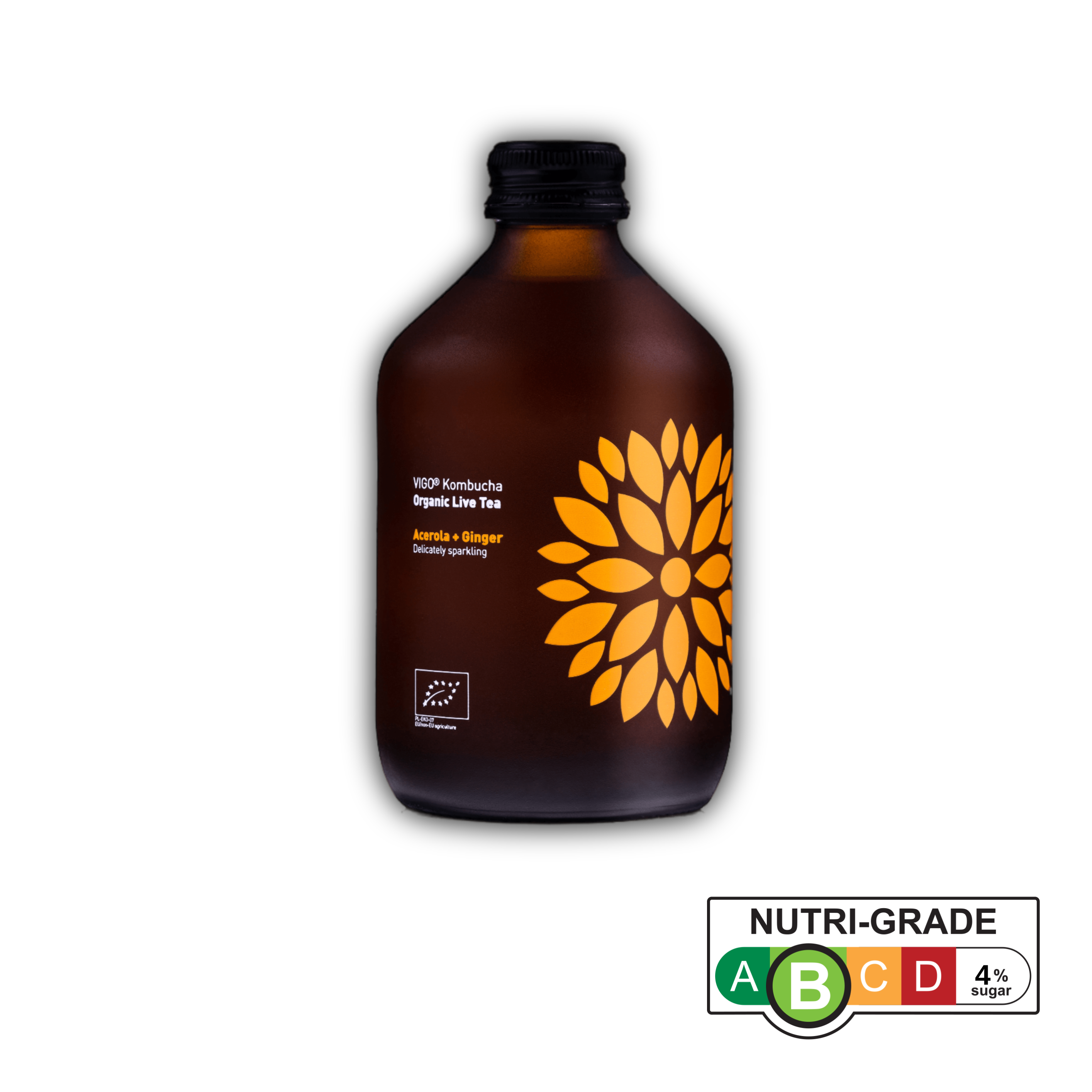 Vigo Kombucha Bio - Acerola+Ginger Vigo Kombucha Bio - Acerola+Ginger