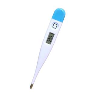 Electronic Digital Thermometer