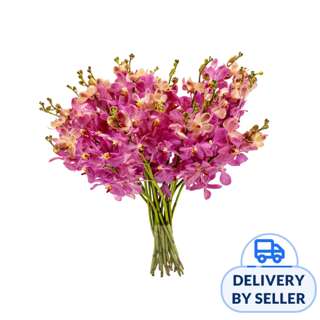 JM Flower Orchid Mokara XL - Pink