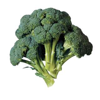 Orgo Fresh Green Broccoli -Big