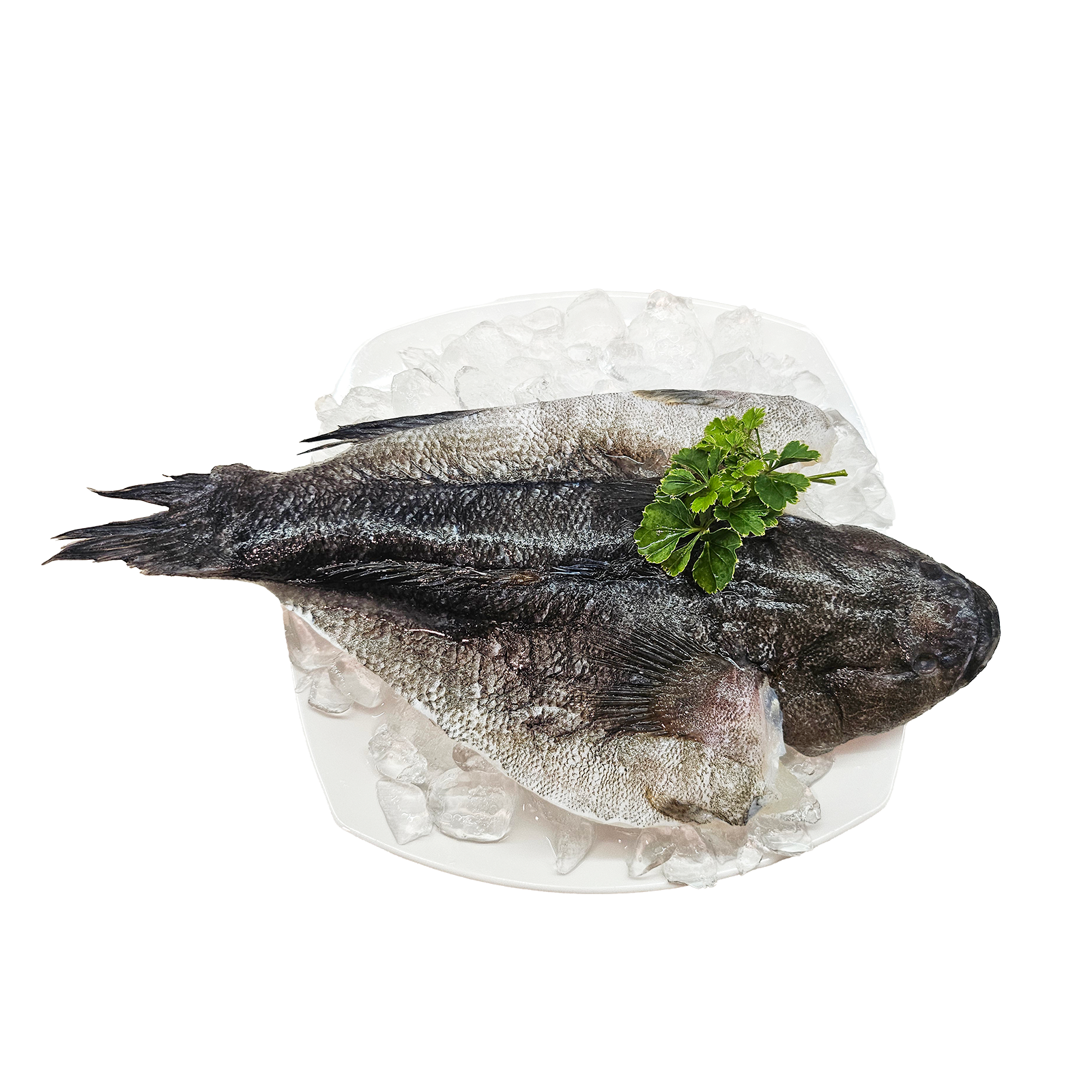 Snow Treasures Soon Hock Whole (Marble Goby) (S) | NTUC FairPrice