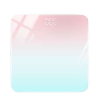 Intelligent Electronic Weighing Machine Scale