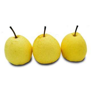 YayaPapaya Gong Pear
