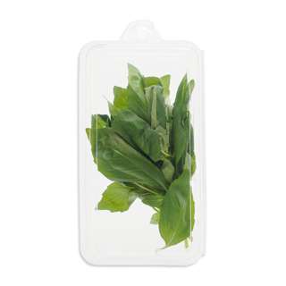 Sweet Basil Herbs Leaf/Leaves Sweet Basil Herbs Leaf/Leaves