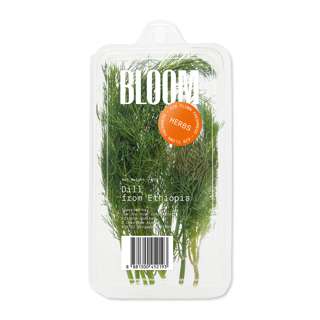 Dill Herbs Leaf/Leaves