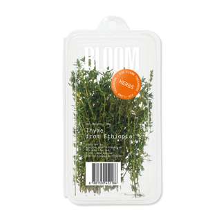 Thyme Herbs Leaf/Leaves