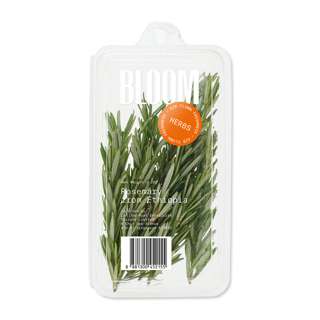 Rosemary Herbs Leaf/Leaves