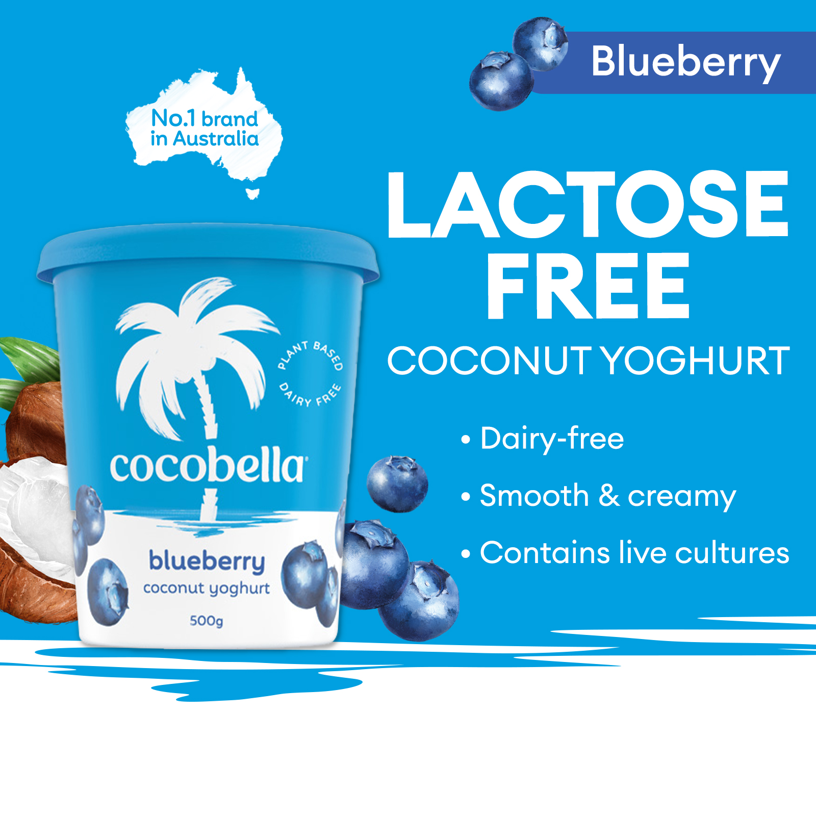 Cocobella Coconut Yoghurt - Blueberry
